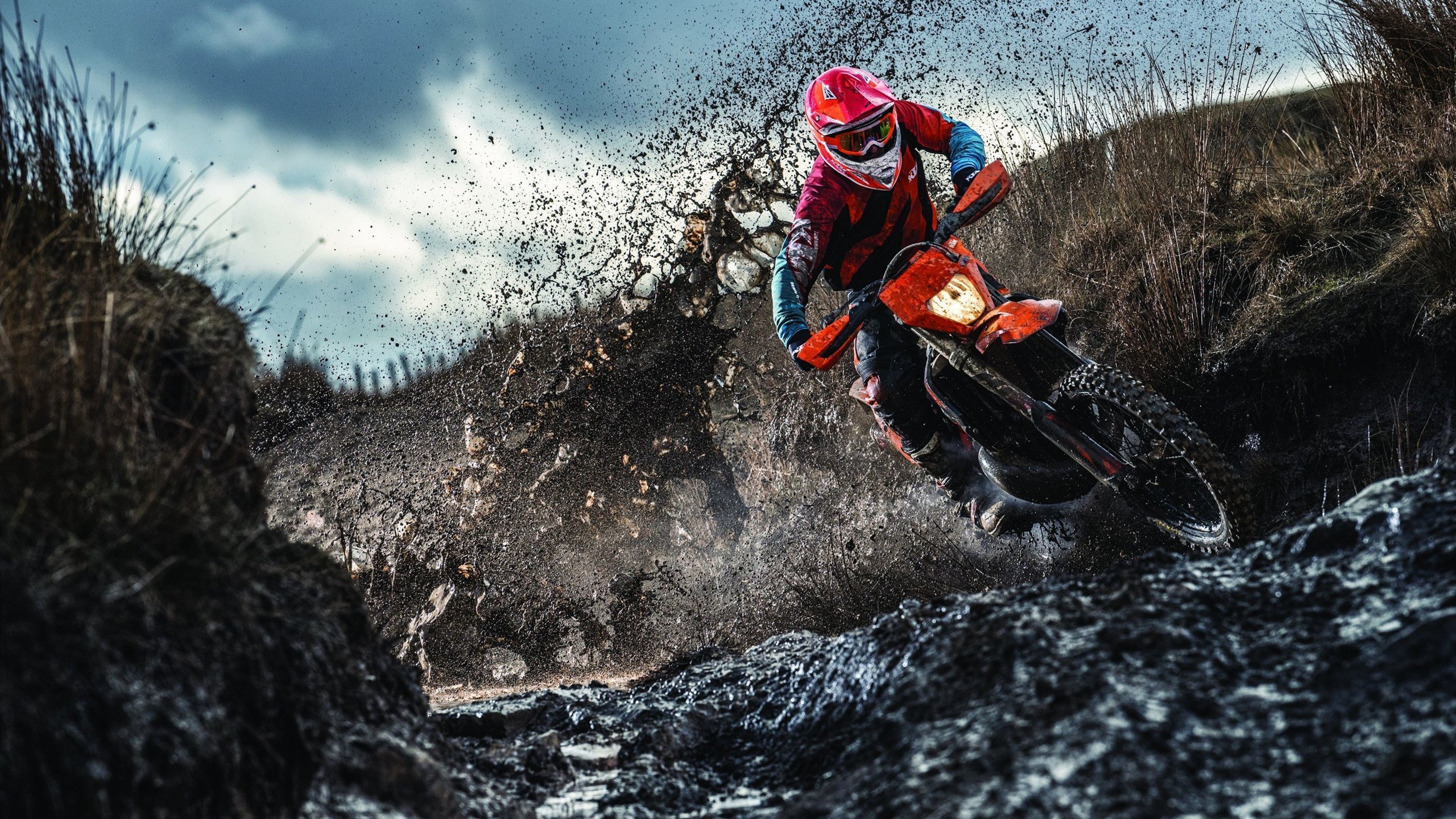 NBA西部乱了！三队争第二 火箭跌出前五 勇士快船掉队，nba西部球队排名火箭